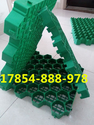 歡迎光臨、南京停車位植草格))股份丨歡迎您_南京植草格,南京停車位植草格,南京植草格公司,植草格,停車位植草格_供應信息_中國安防展覽網