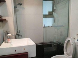 上海雙南兩房兩廳精裝電梯房 高性價比，隨時看房